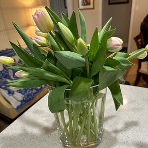 Meet your Posher, Francis